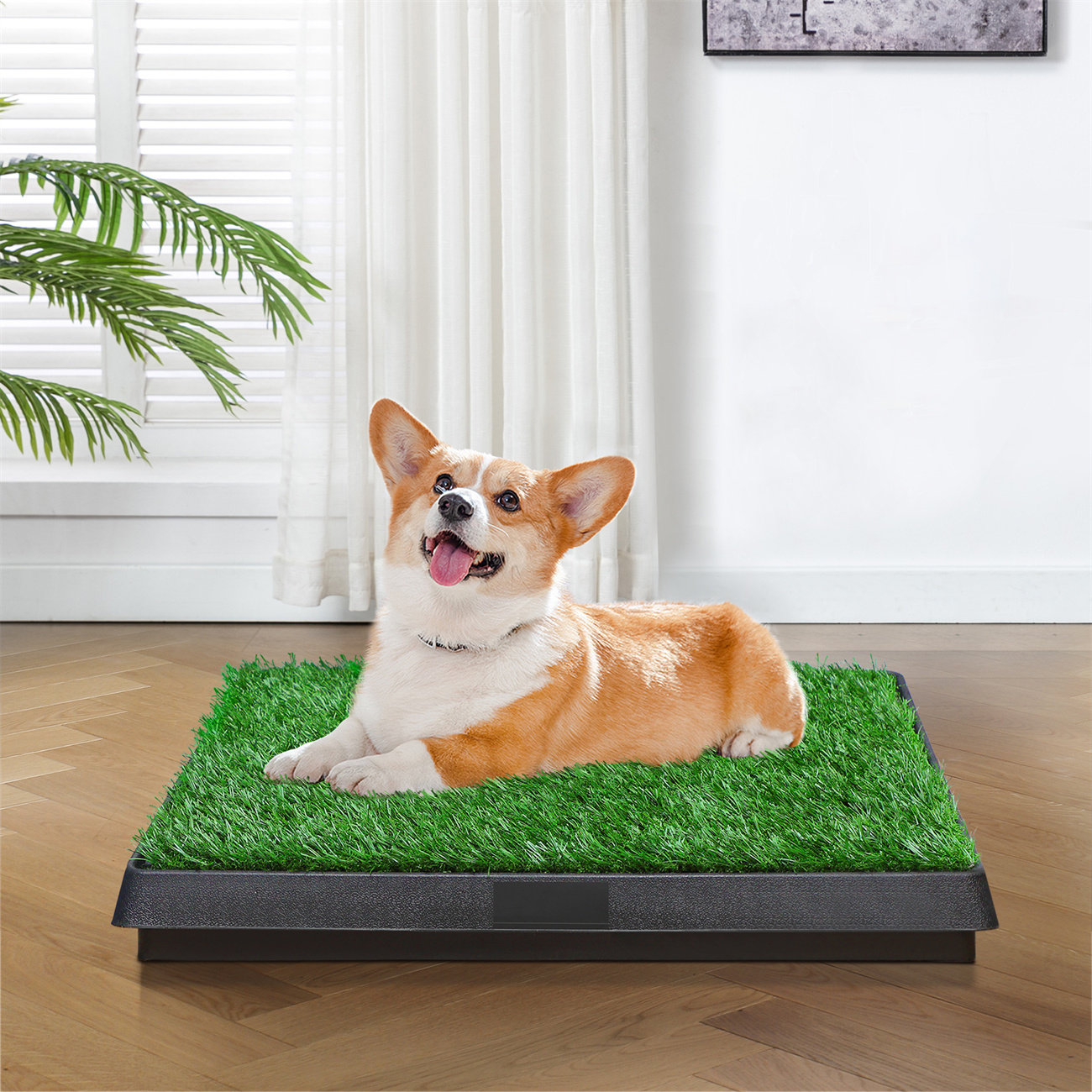 Patio pet potty top